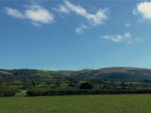 Picture of Maesmawr Farm Resort