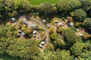 Picture of Dragonfly Woodland Camping