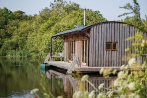 Picture of Dragonfly Woodland Camping