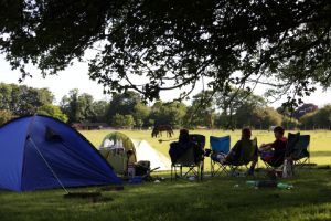 Picture of Meadow Farm Campsite