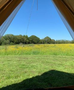 Picture of Little Oaks Glamping & Camping