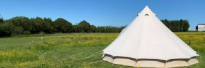 Picture of Little Oaks Glamping & Camping