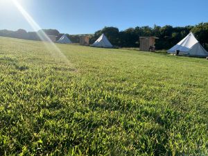 Picture of Beachside Glamping - Dale