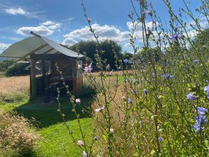 Picture of Grasshopper Glamping