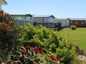 Picture of Searivers Caravan Park