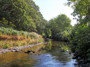 Picture of Riverside Caravan Park