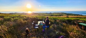 Picture of Hillfort Camping & Yurts